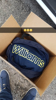 Renault Clio Williams 17